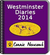 Westminster Diaries 2014 by Connie Newcomb : 2/8/14 - The Chihuahua Club of Greater New York Show (Day 1)