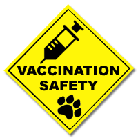 Vaccination Safety