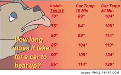 How long does it take for a car to heat up?