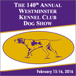 140th Annual Westminster Kennel Club Dog Show