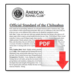 AKC Official Standard of the Chihuahua