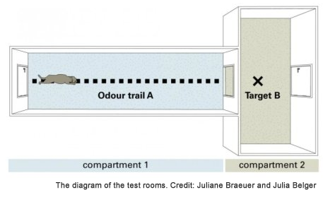 Diagram of the test rooms