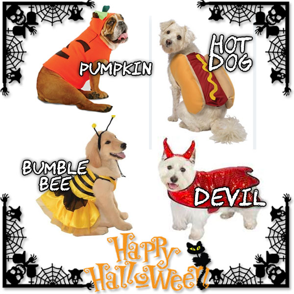 Top Halloween Pet Costumes 2018