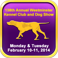 138th Annual Westminster Kennel Club and Dog Show